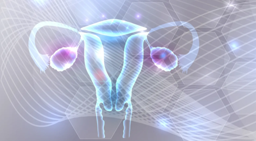 Скидка 10 % на первичный приём гинеколога